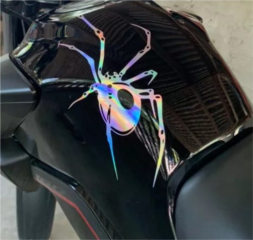 Aranha holográfica 20x15